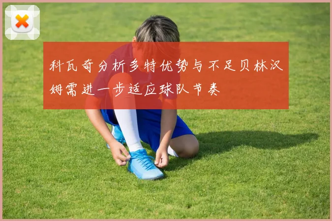 科瓦奇分析多特优势与不足贝林汉姆需进一步适应球队节奏
