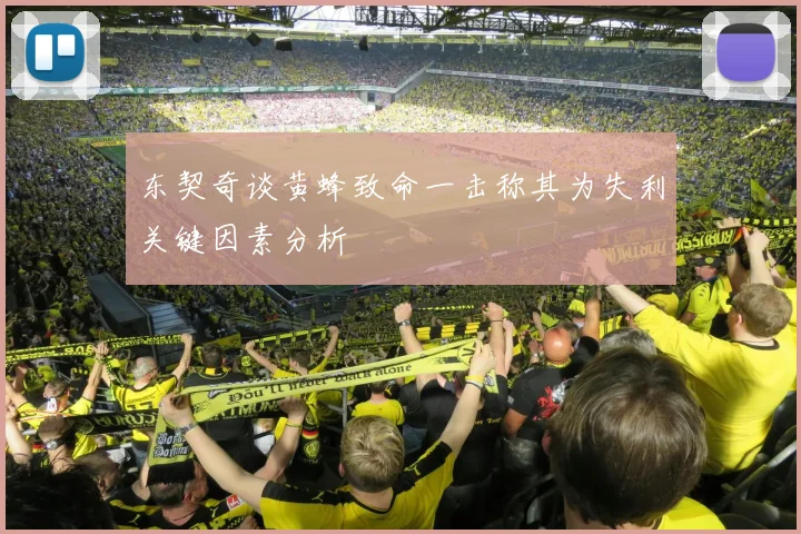 东契奇谈黄蜂致命一击称其为失利关键因素分析